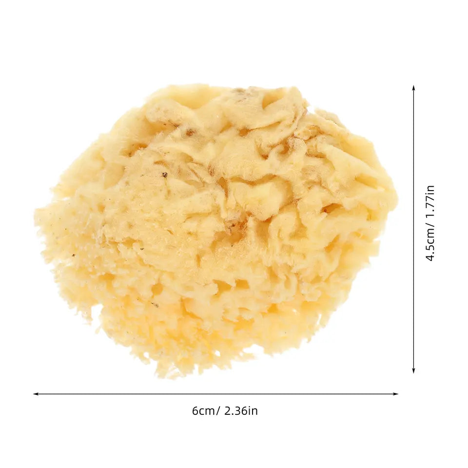 Natural Sea Sponge Soft 2.0-2.5 Inch Watercolor Painting Sponge Multi-Purpose DIY Texture Art Tools for Artists