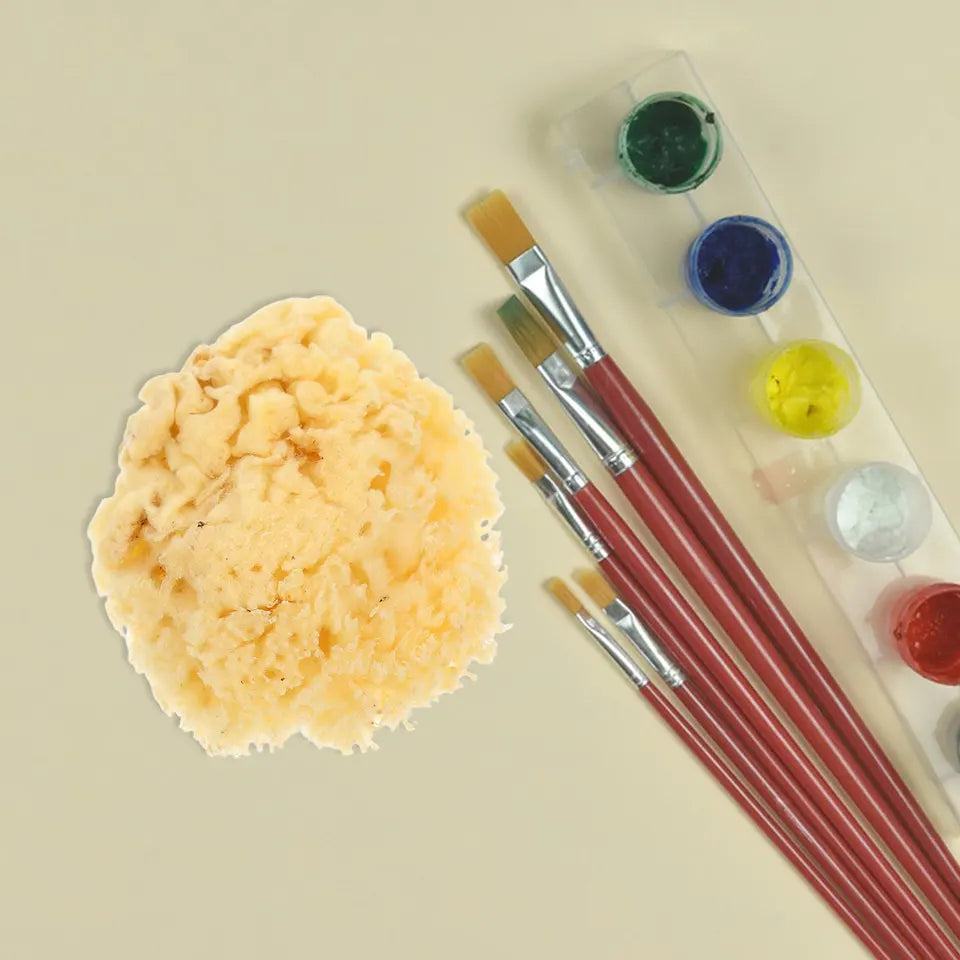 Natural Sea Sponge Soft 2.0-2.5 Inch Watercolor Painting Sponge Multi-Purpose DIY Texture Art Tools for Artists