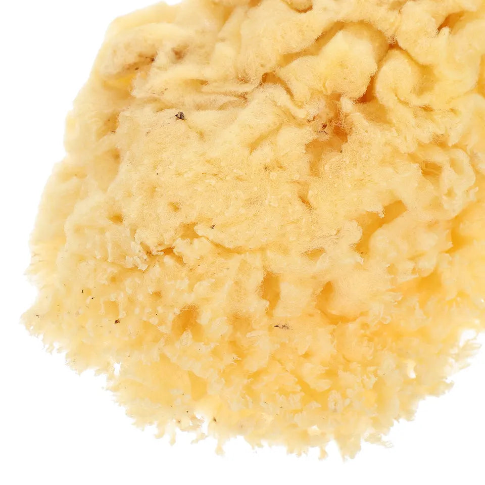 Natural Sea Sponge Soft 2.0-2.5 Inch Watercolor Painting Sponge Multi-Purpose DIY Texture Art Tools for Artists