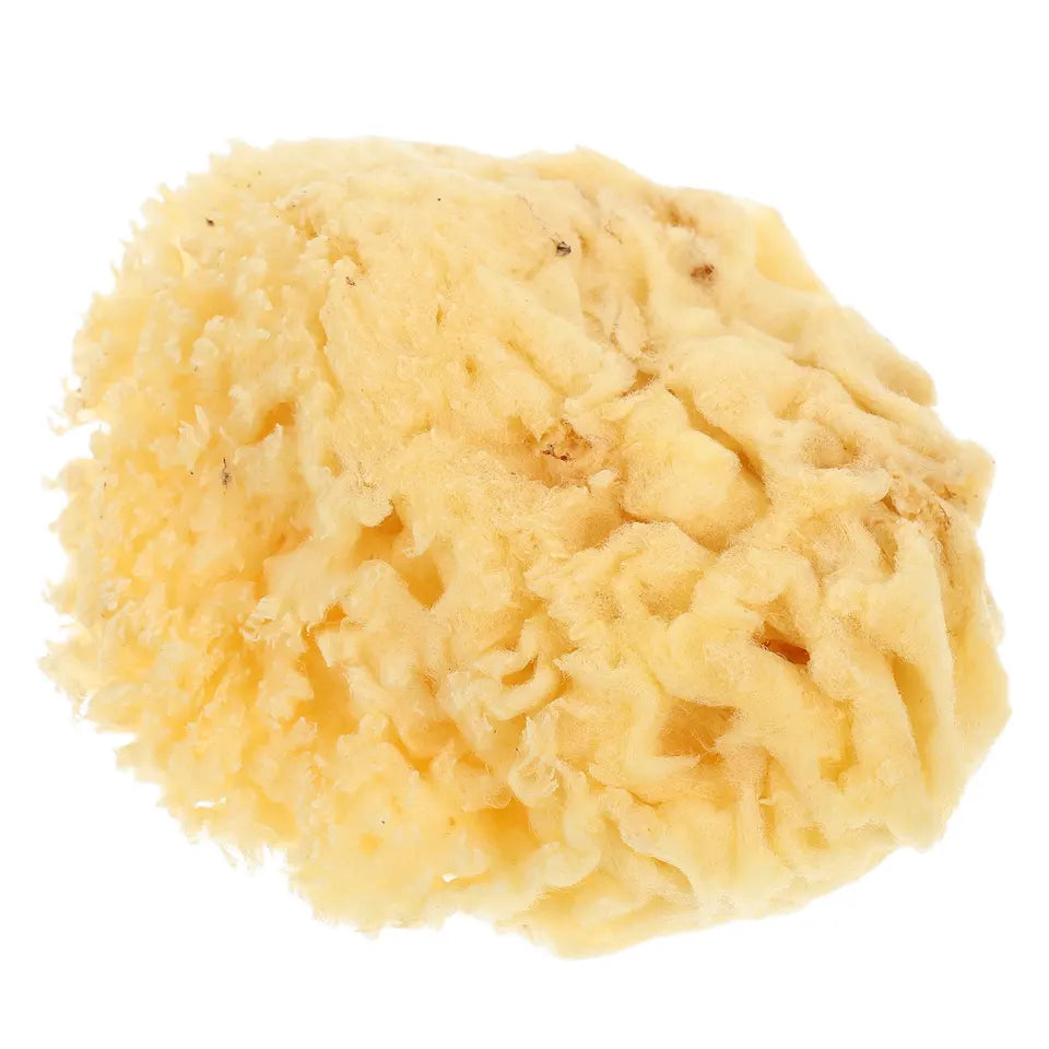 Natural Sea Sponge Soft 2.0-2.5 Inch Watercolor Painting Sponge Multi-Purpose DIY Texture Art Tools for Artists