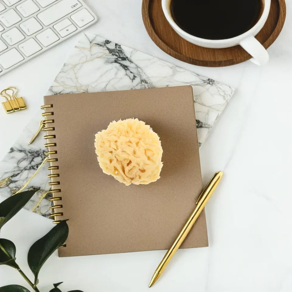 Natural Sea Sponge Soft 2.0-2.5 Inch Watercolor Painting Sponge Multi-Purpose DIY Texture Art Tools for Artists