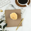 Natural Sea Sponge Soft 2.0-2.5 Inch Watercolor Painting Sponge Multi-Purpose DIY Texture Art Tools for Artists